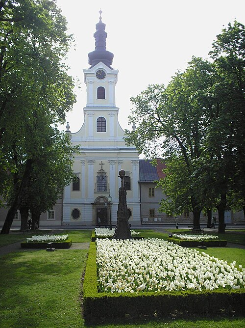 Bjelovar Cathedral
